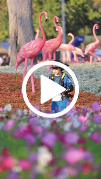 BIB:  <button type="button" onclick="openModal(27588722)" class="btn btn-primary btn-sm float-right" data-toggle="modal" data-target=".modal-high-quality">
                <i class="fa fa-download"></i> Download
                </button>